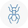 Ant Removals In Wallingford