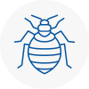 Bed Bug Extermination In Wallingford