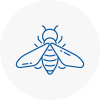 Bee Nest Removal Wallingford