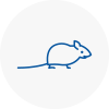 Mice Exterminators In Wallingford