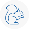 Wallingford Rodent Removals